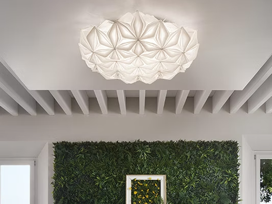 Lighting Design